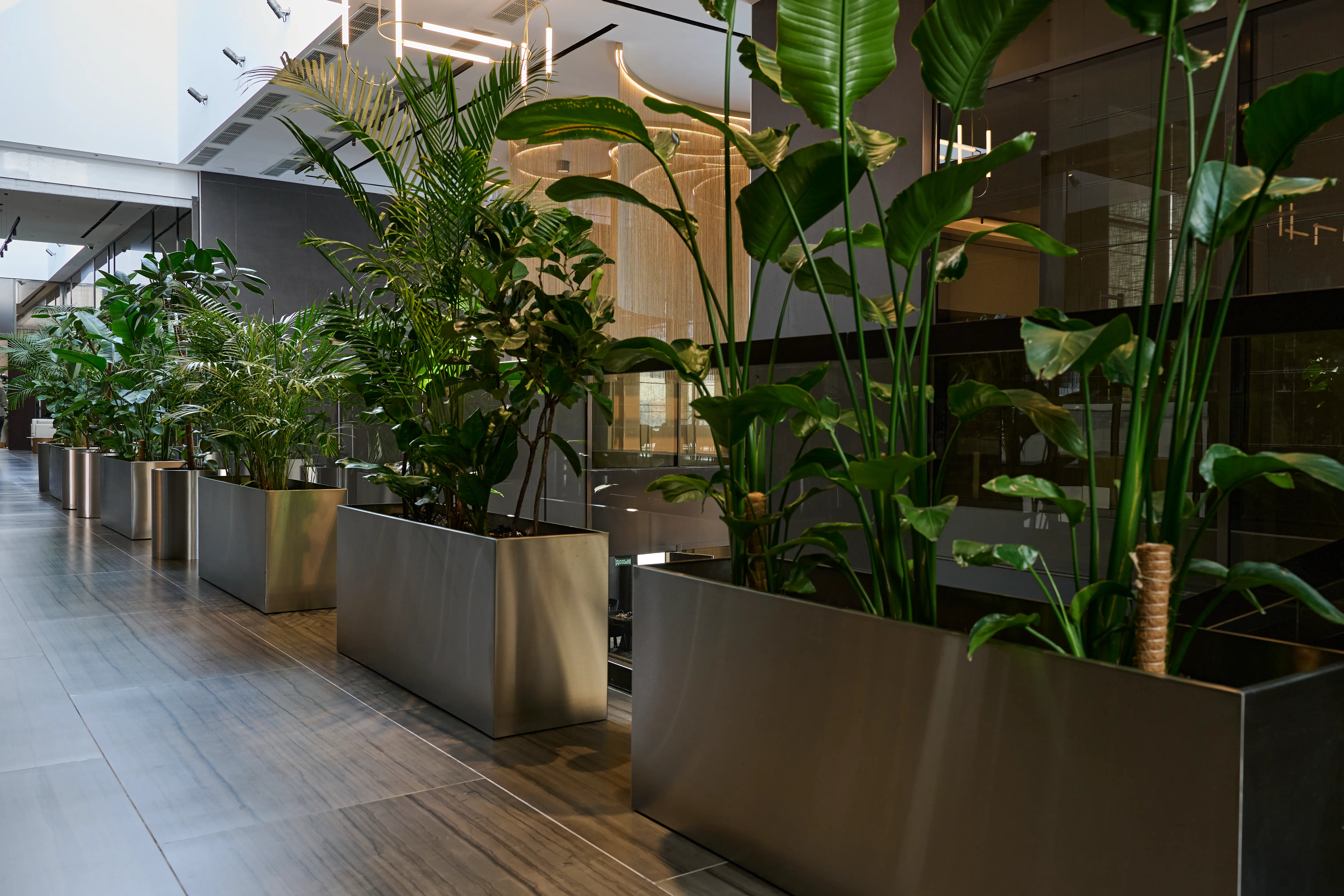 Интерьерное озеленение живыми растениями